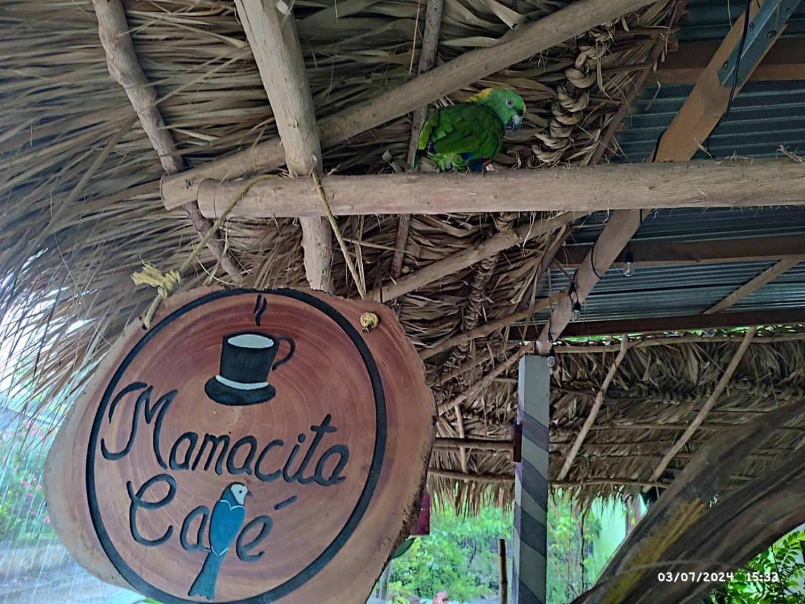 فندق Mamacita Cafe House مويوجالبا المظهر الخارجي الصورة