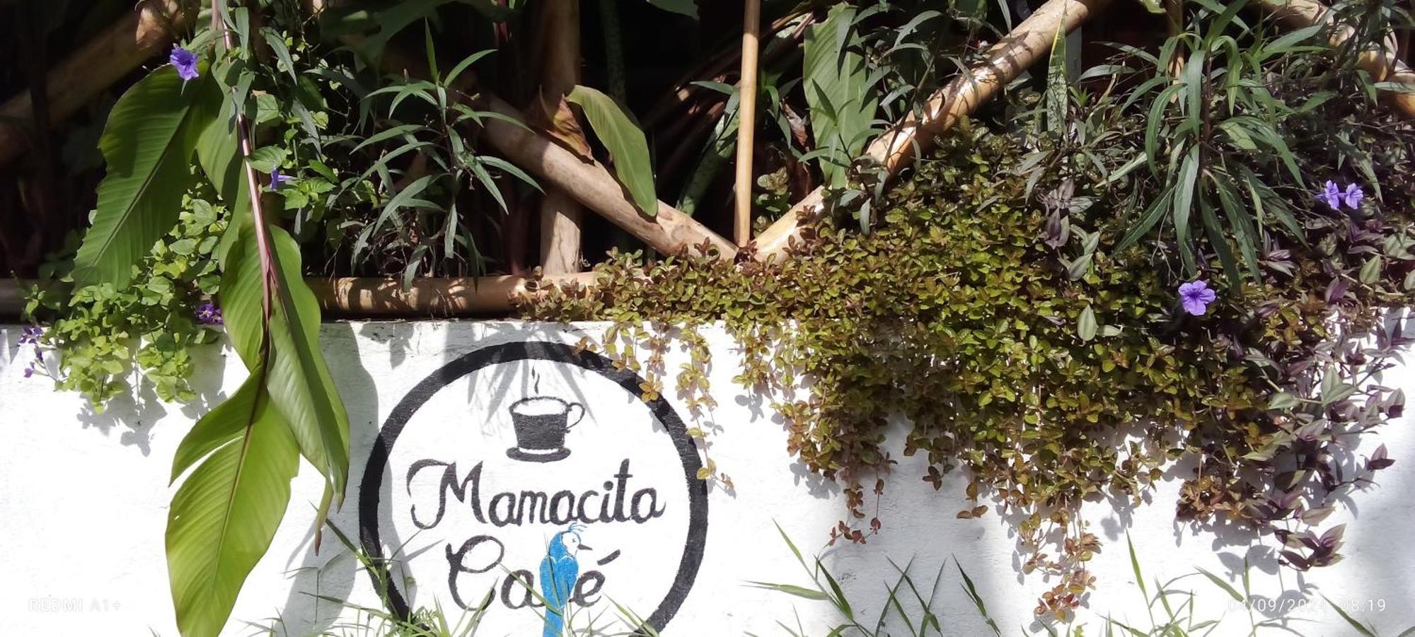 فندق Mamacita Cafe House مويوجالبا المظهر الخارجي الصورة